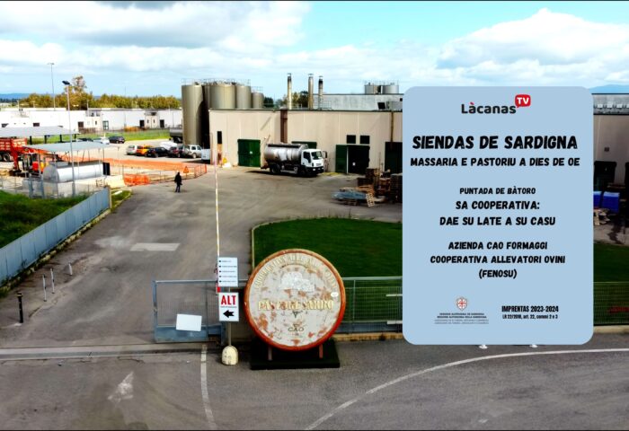 Sa cooperativa, dae su late a su casu. Azienda Cao Formaggi (Fenosu) 9 copertina quartapuntata