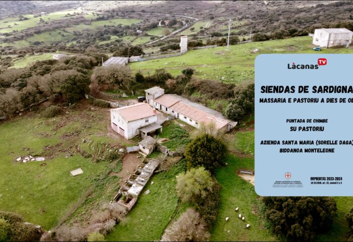 Su pastoriu. Azienda Santa Maria in Biddanoa Monteleone 8 copertina siendas05