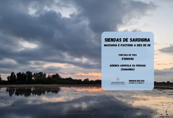 S'orrosu. Azienda Agricola Sa Perdaia (Siamanna) 10 copertina terzapuntata